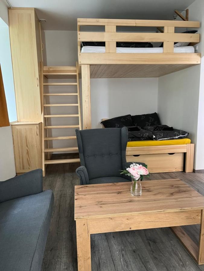 Moderni Apartman Uprostred Sumavske Prirody Zdikovec Exteriér fotografie