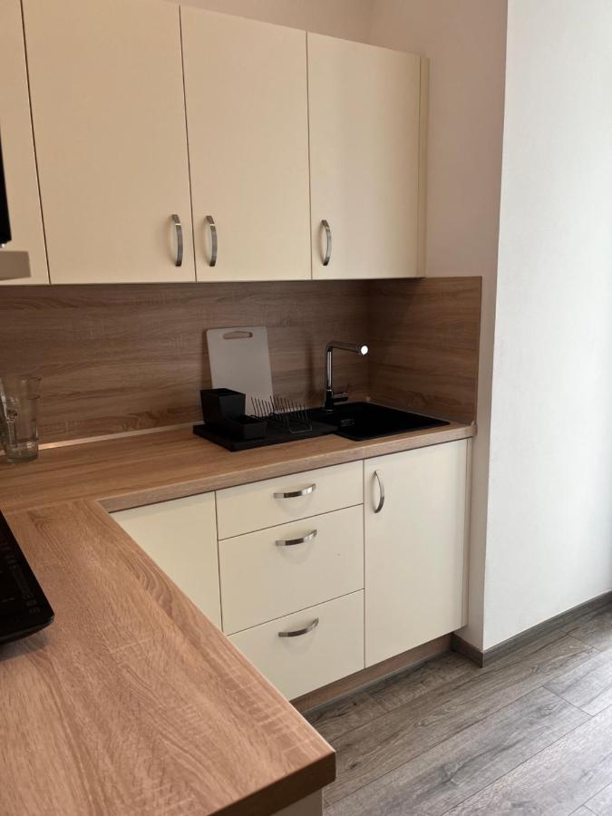 Moderni Apartman Uprostred Sumavske Prirody Zdikovec Exteriér fotografie